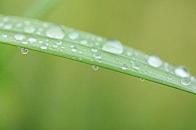 第22届GDC游戏大奖公布提名 3月公布获奖名单